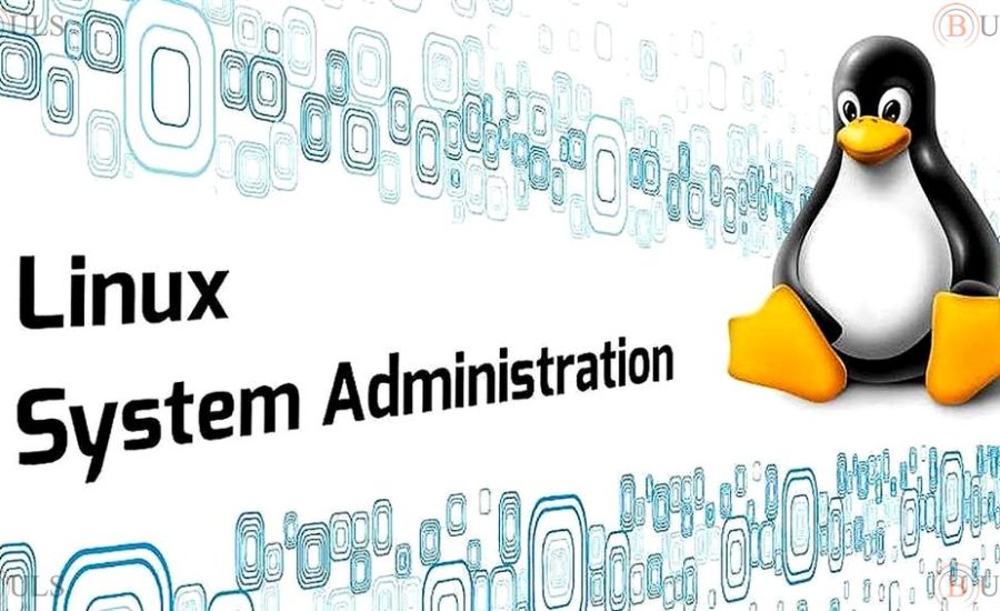 администратор Linux