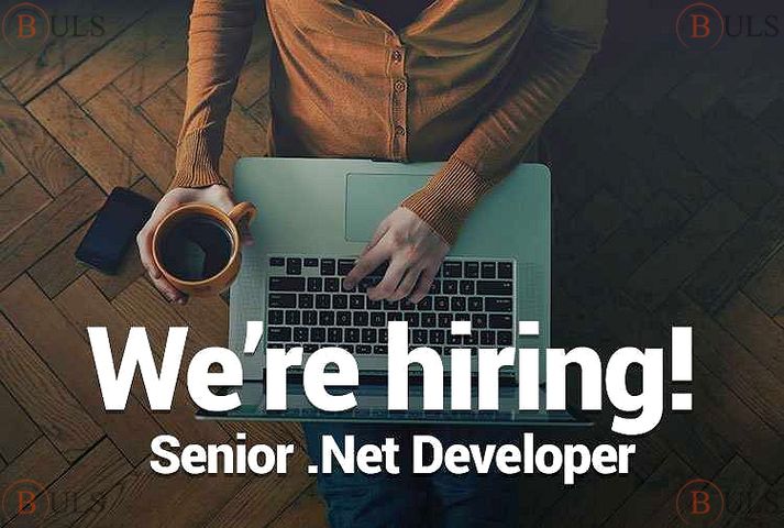 ASP.NET developer