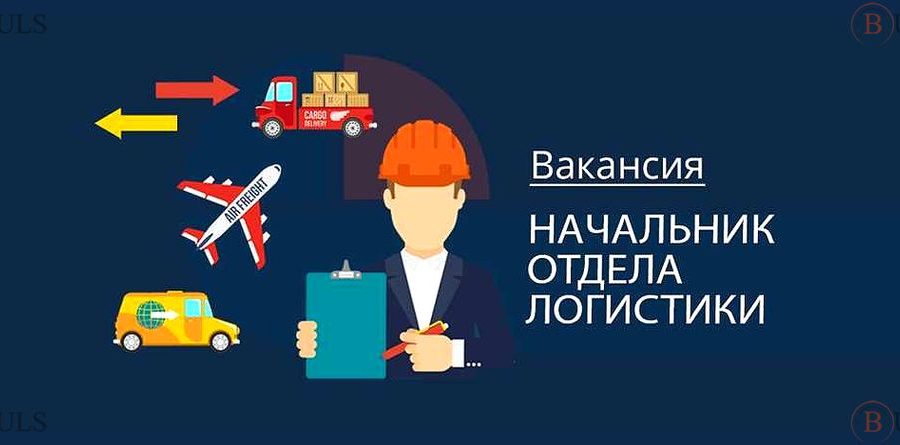 директор департамента логистики