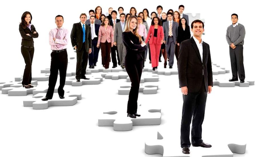 директор по управлению персоналом