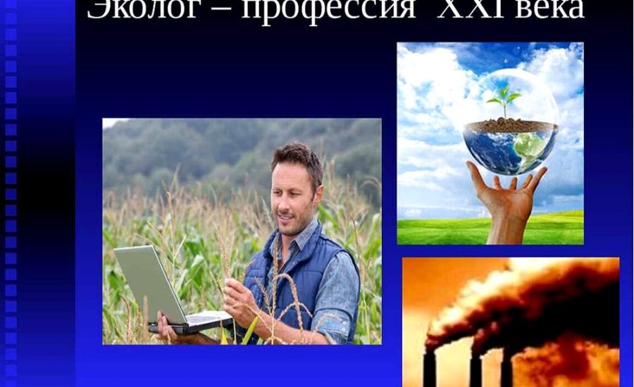 главный эколог