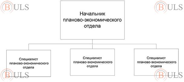главный экономист планово-экономического отдела