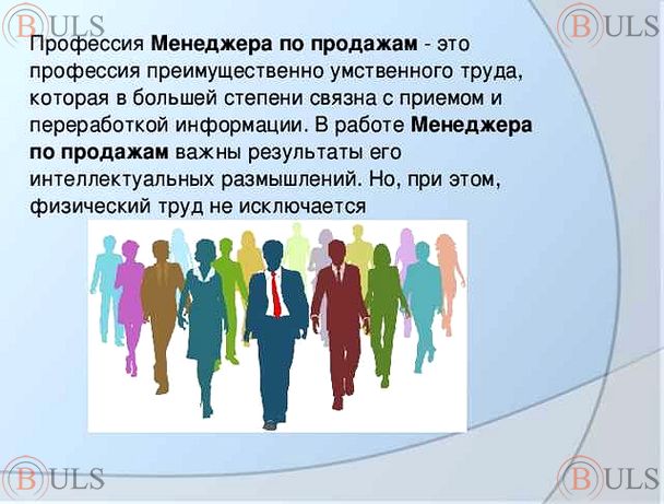 главный менеджер по продажам