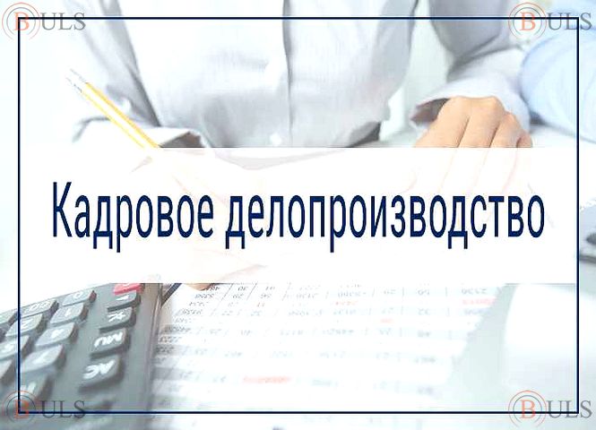 главный специалист по кадровому делопроизводству