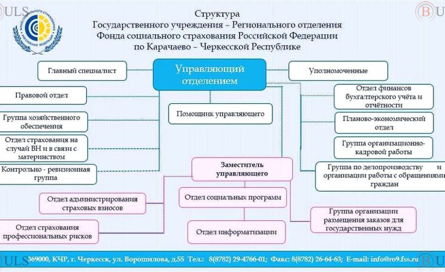 главный специалист службы финансового мониторинга