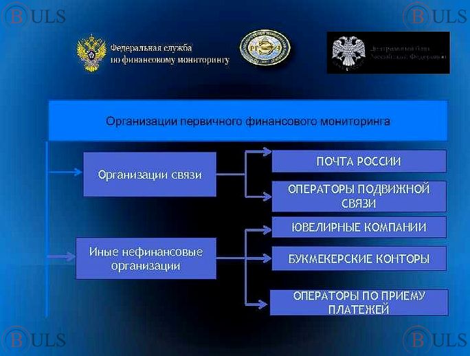 главный специалист управления финансового мониторинга