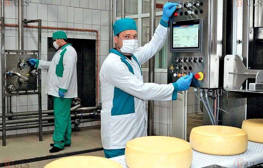 главный технолог молочного производства