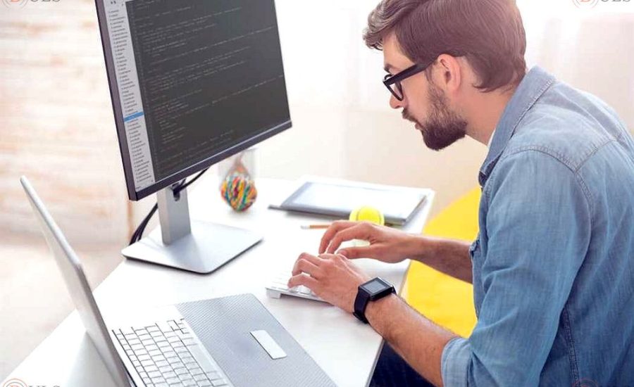 go developer