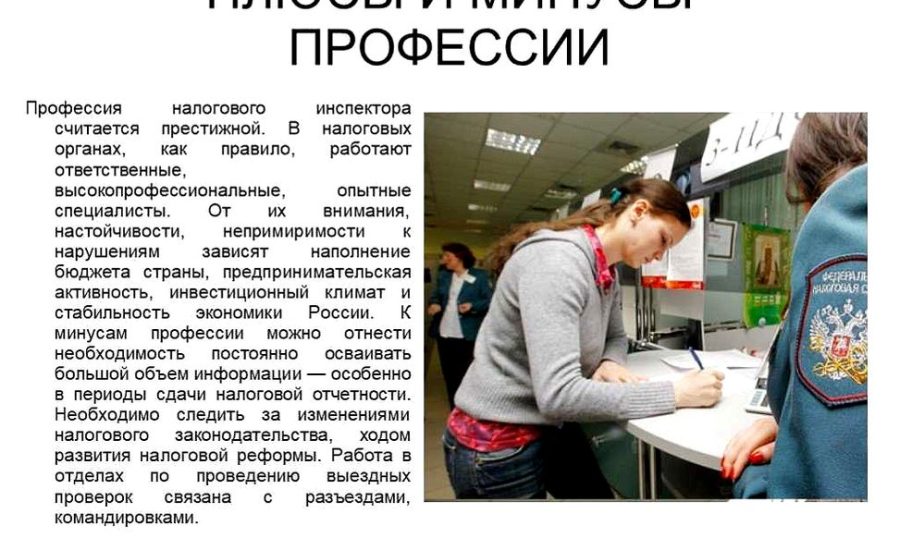 государственный налоговый инспектор