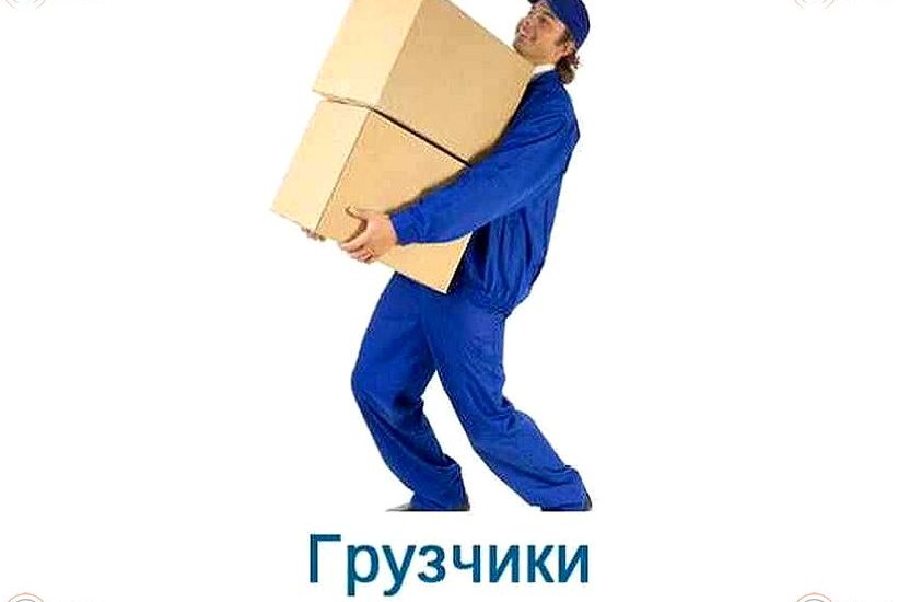 грузчик в супермаркет