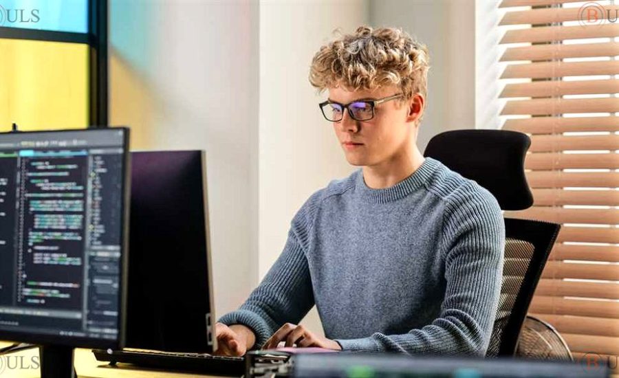 junior developer