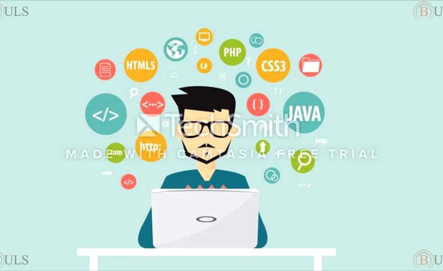 junior frontend developer