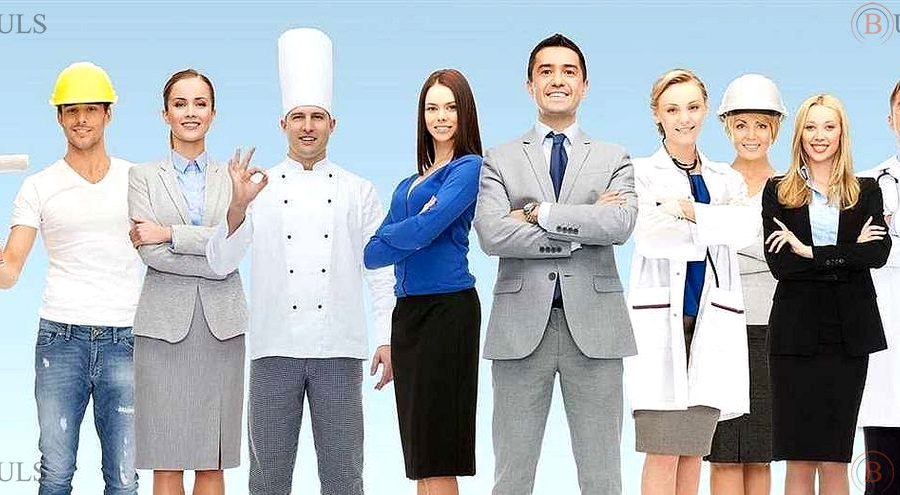 junior HR specialist