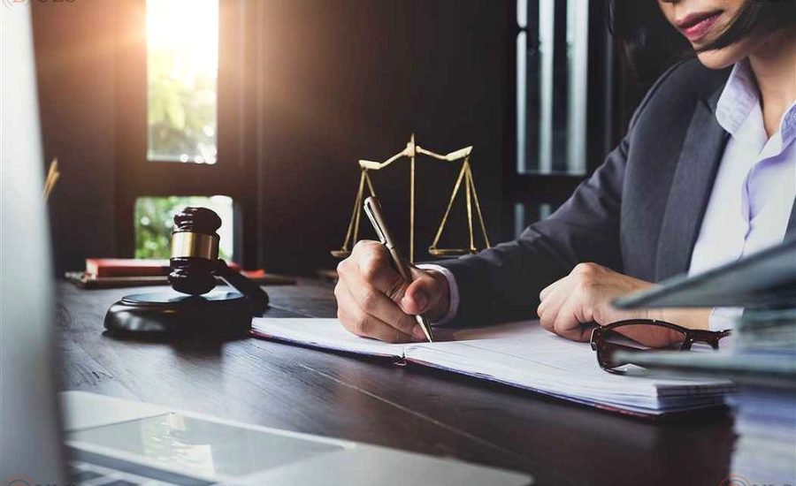junior lawyer