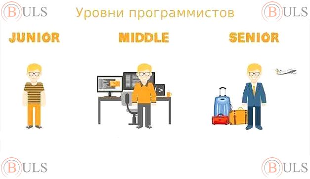 junior middle PHP developer