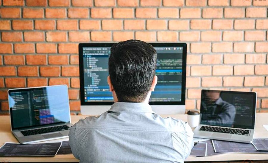 junior .NET developer