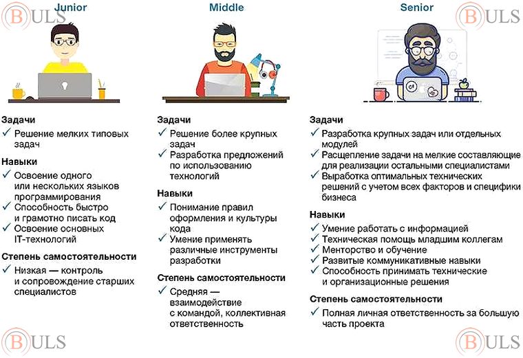 junior project manager