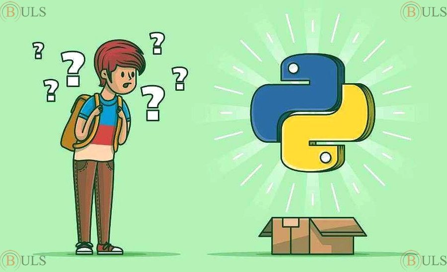 junior Python developer