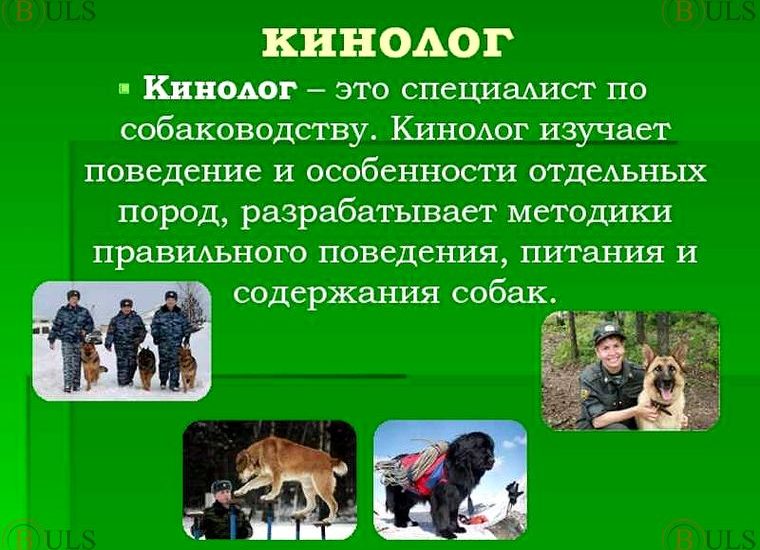 кинолог