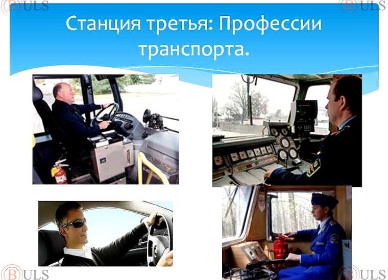 координатор по транспорту