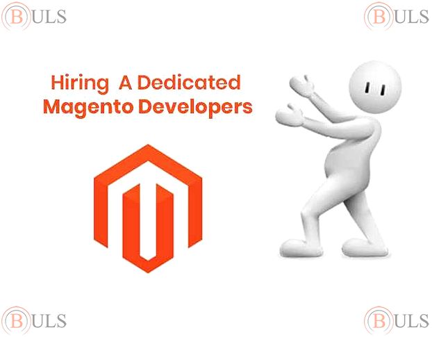 magento developer