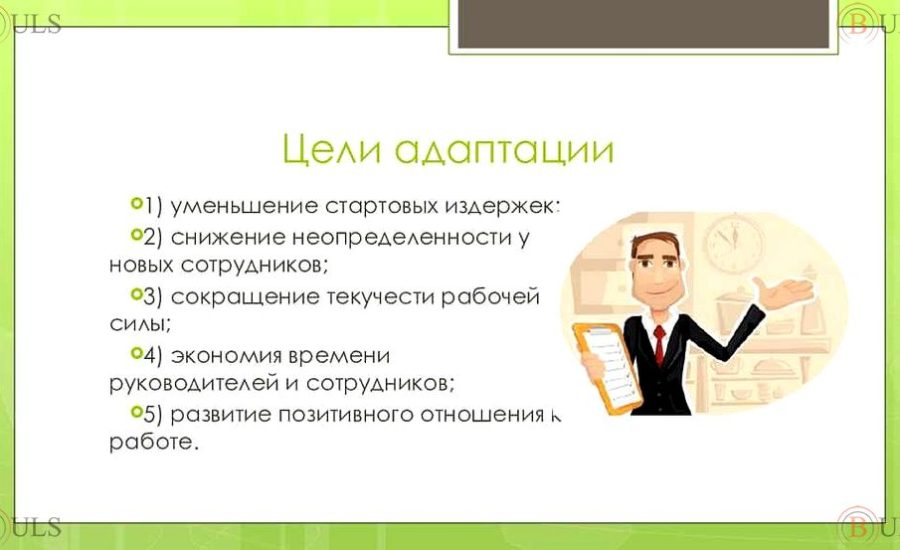 менеджер по адаптации