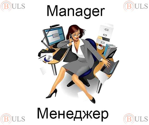 менеджер по закупкам IT-оборудования