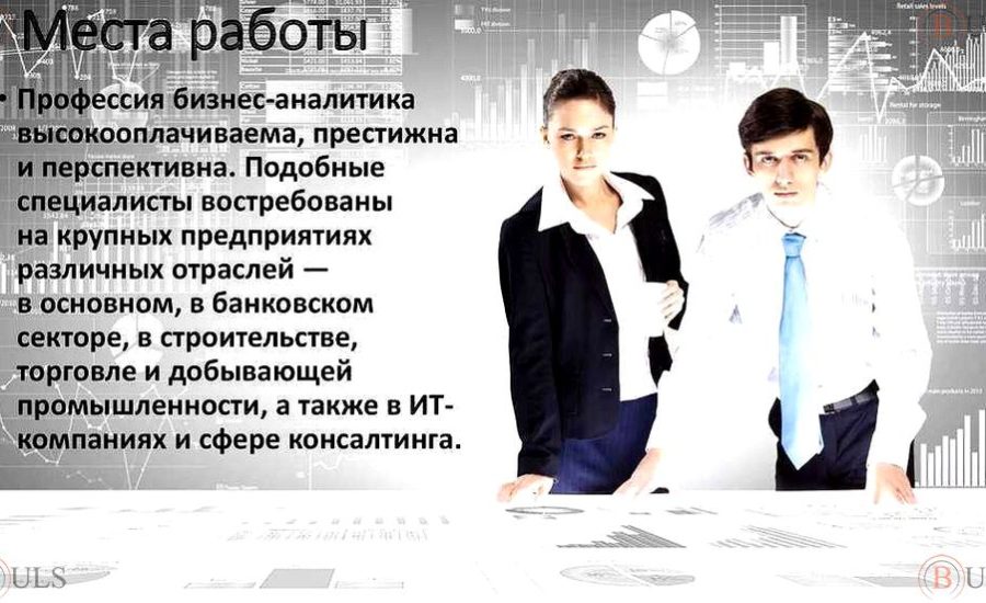 младший веб-аналитик