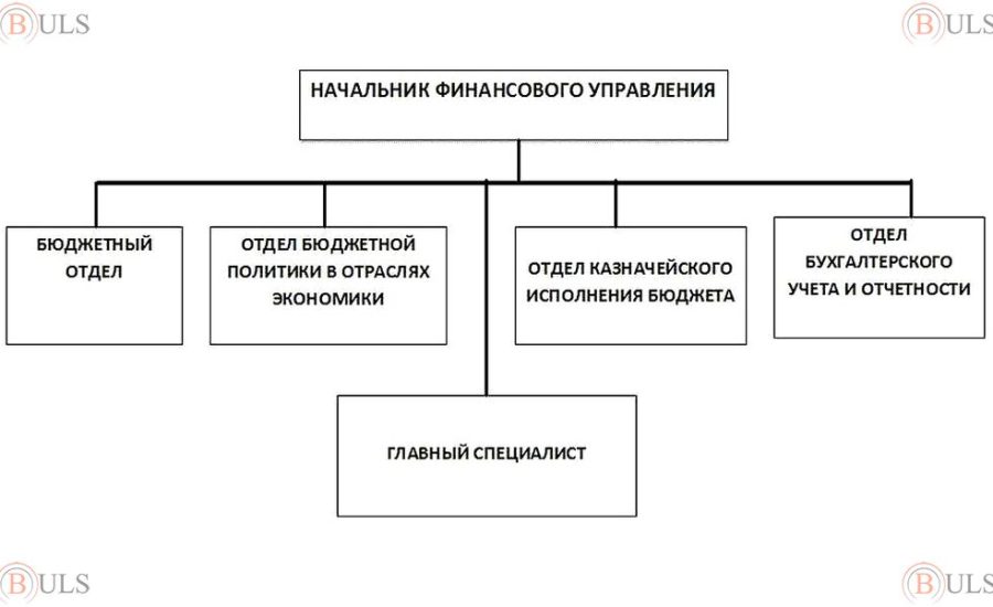 начальник финансово-экономического отдела