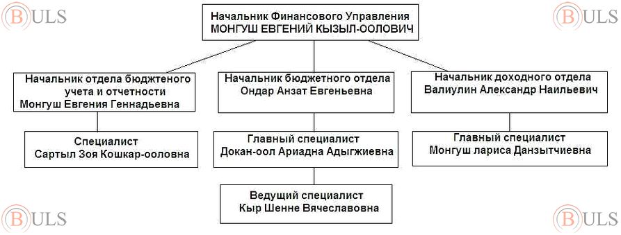 начальник финансово-экономической службы