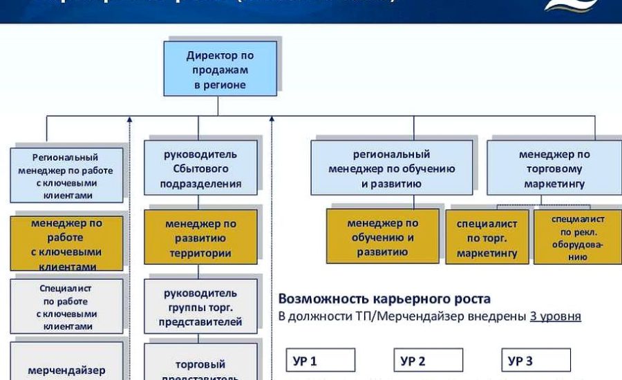 начальник отдела по работе с ключевыми клиентами