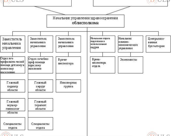 начальник планово-экономического отдела