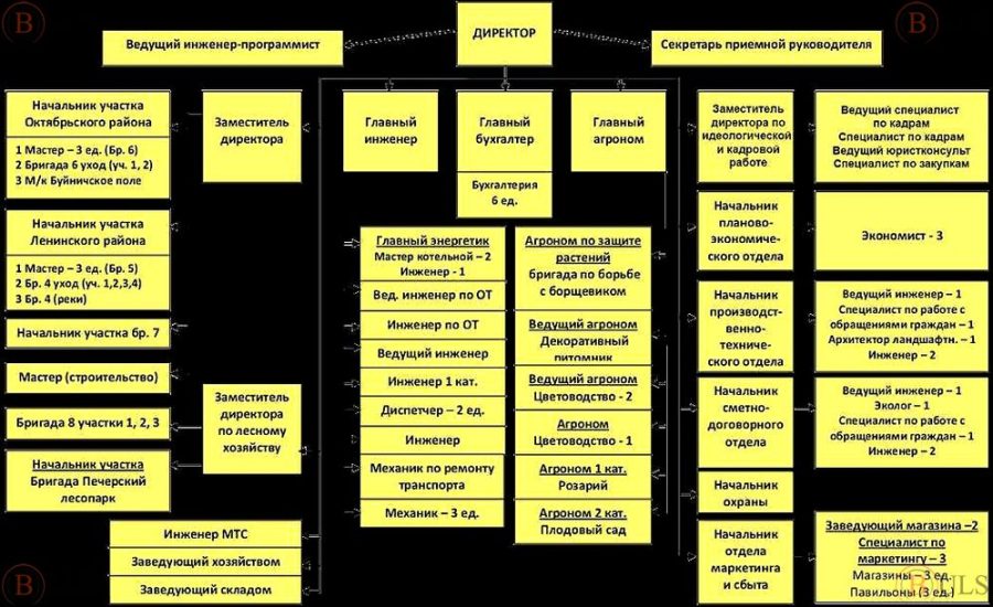 начальник планово-экономического управления