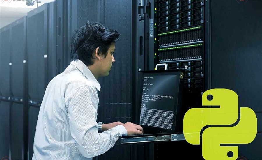 network administrator