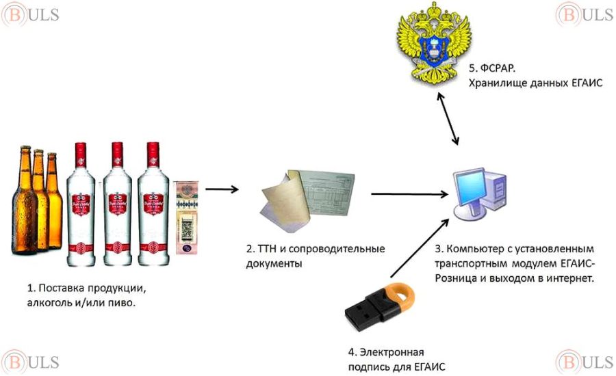 оператор ЕГАИС