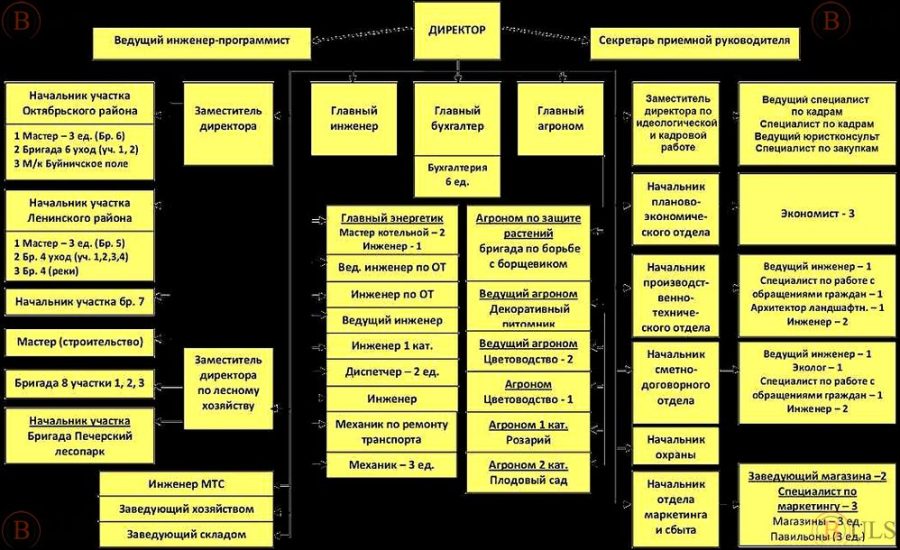 операционный директор розничной сети