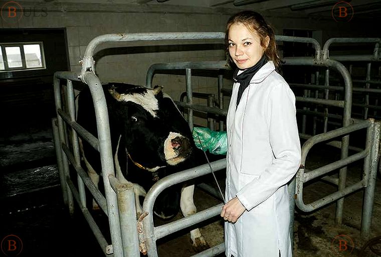 осеменатор