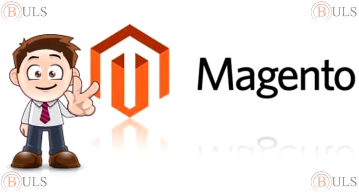 PHP magento developer