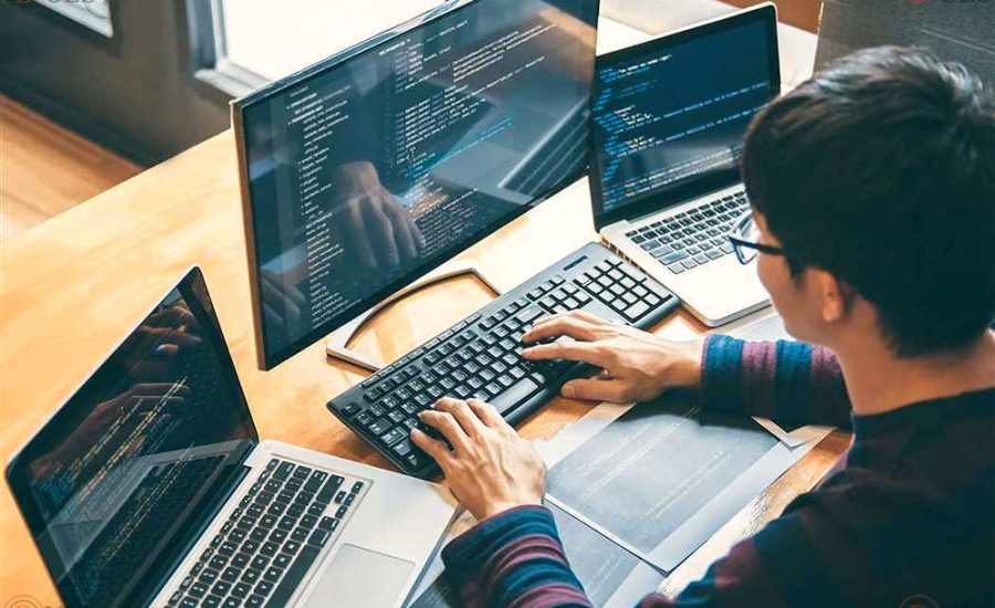 PHP WordPress developer
