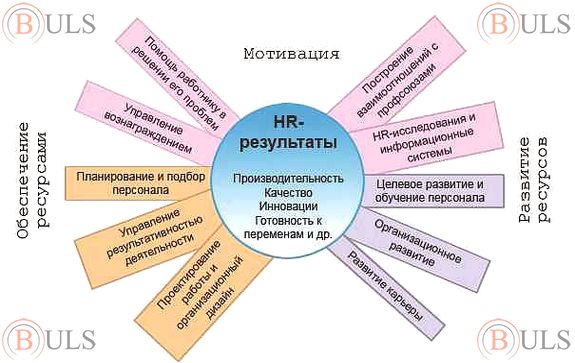 практикант в HR-отдел