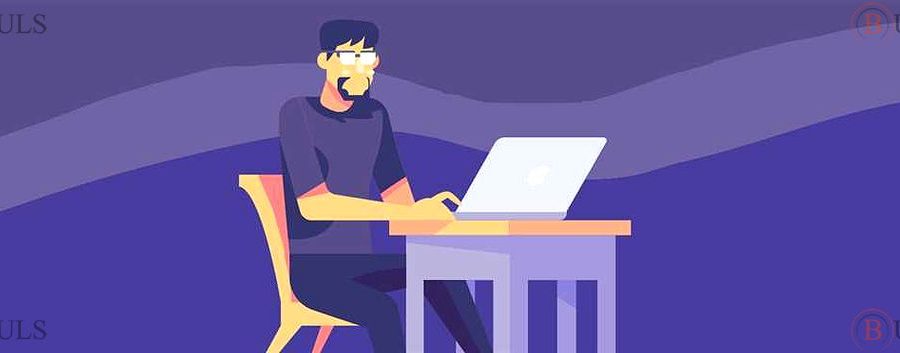 программист C# .NET