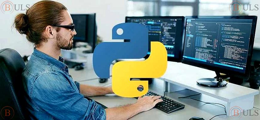 программист-разработчик Python