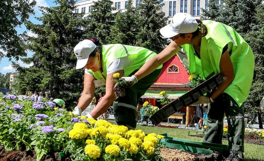 рабочий зеленого хозяйства