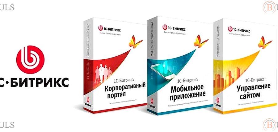 разработчик 1С-Битрикс