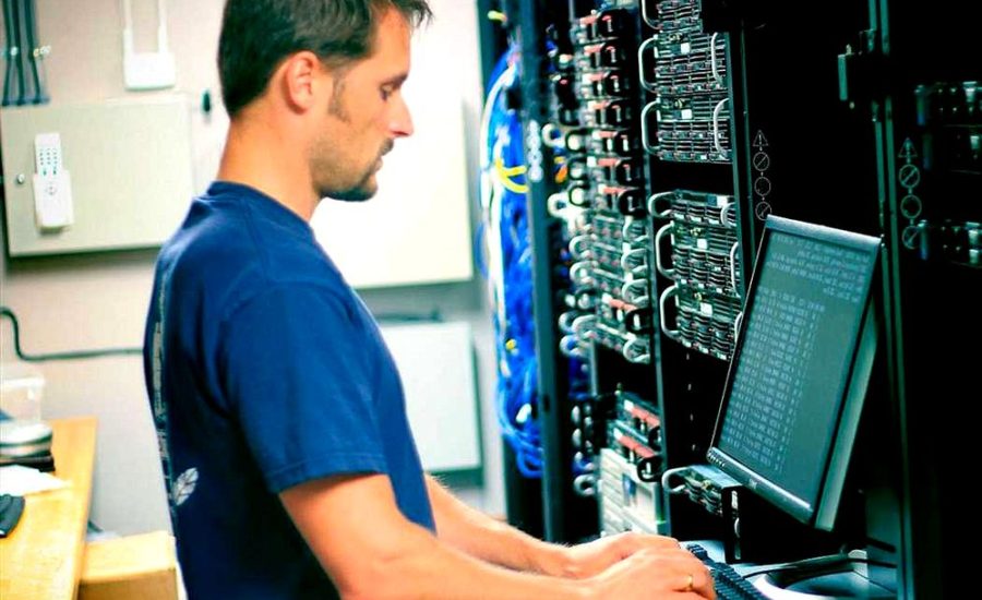 разработчик программного обеспечения и баз данных