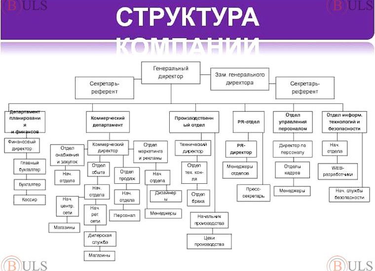 региональный руководитель розничной сети