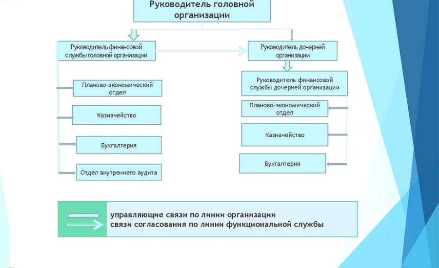 руководитель финансово-экономической службы