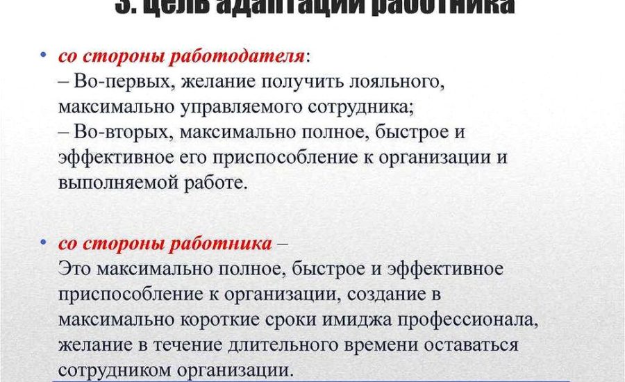 руководитель отдела подбора и адаптации персонала