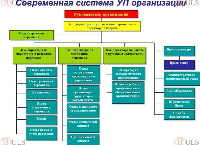 руководитель отдела управленческого учета