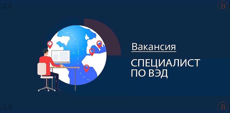 руководитель отдела закупок ВЭД